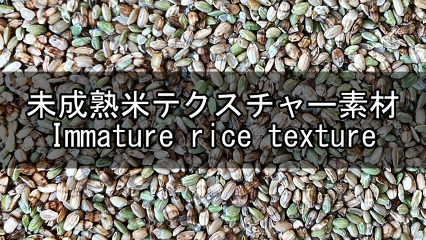 未成熟米テクスチャー素材(Immature rice texture)
