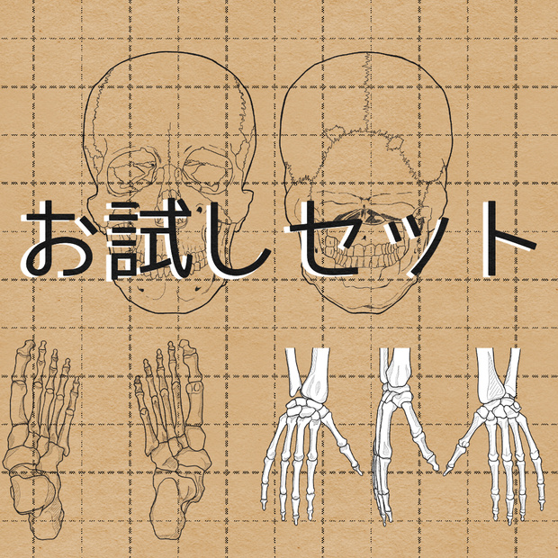 お試しセット