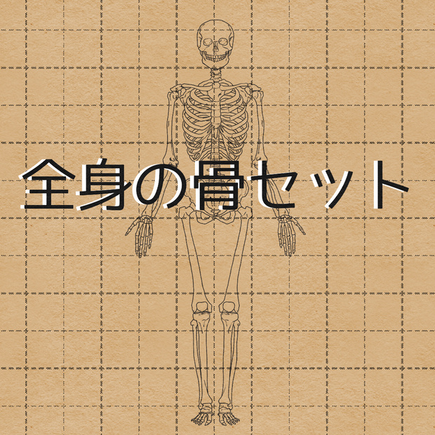 全身セット