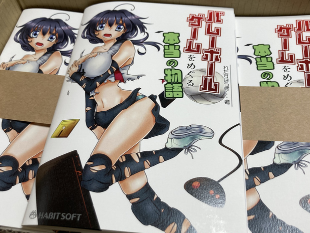 バレーボールゲームをめぐる本当の話