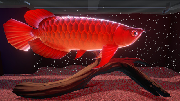 【こだわりのアロワナ水槽】Arowana Aquarium Set (Unity URP) – Animated Fish