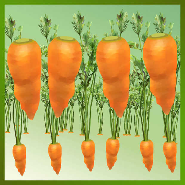 ニンジンブラシ nino (Carrot brush nino) [ClipstudioPAINT Ver.1 OK]