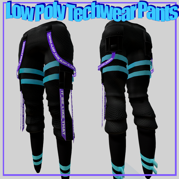 Baggy Techwear Pants / バギーテックウェアのパンツ