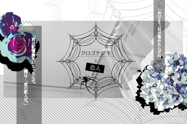 クロゴケグモと恋人