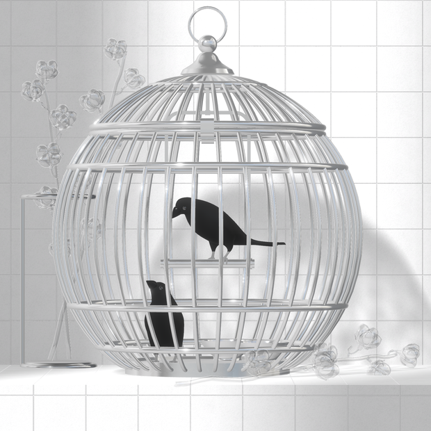 Bird Cage ×10