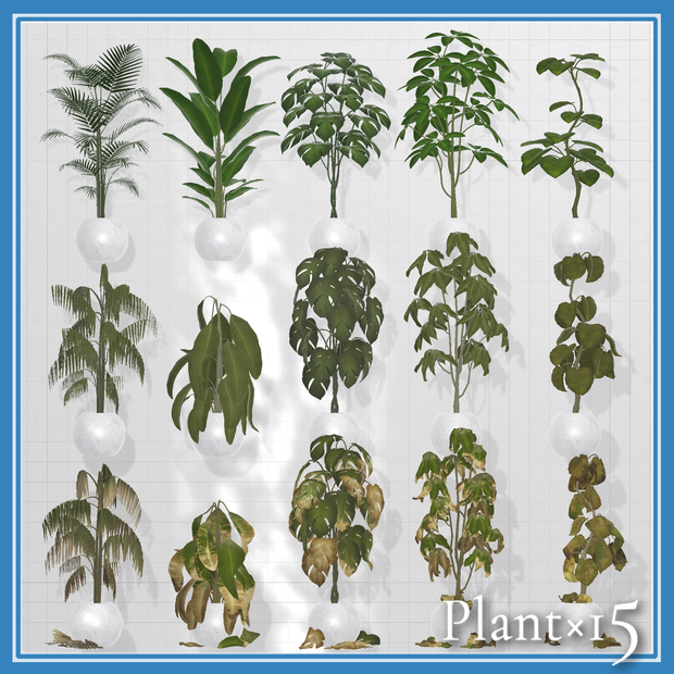 Plant×15