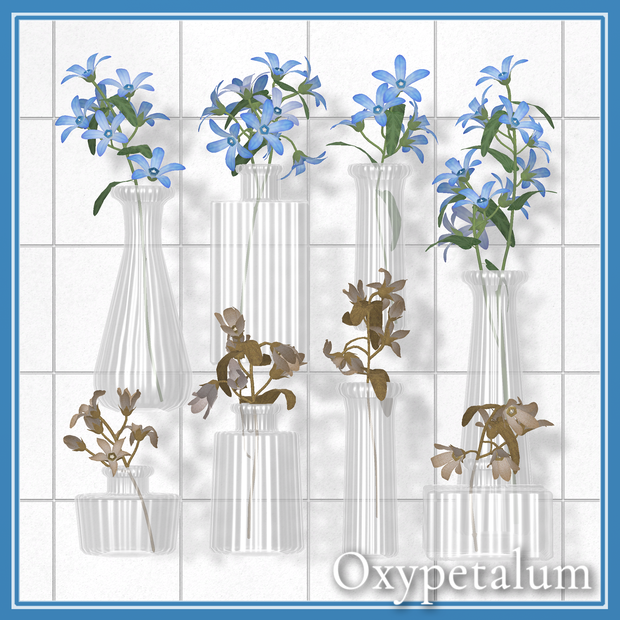 Oxypetalum