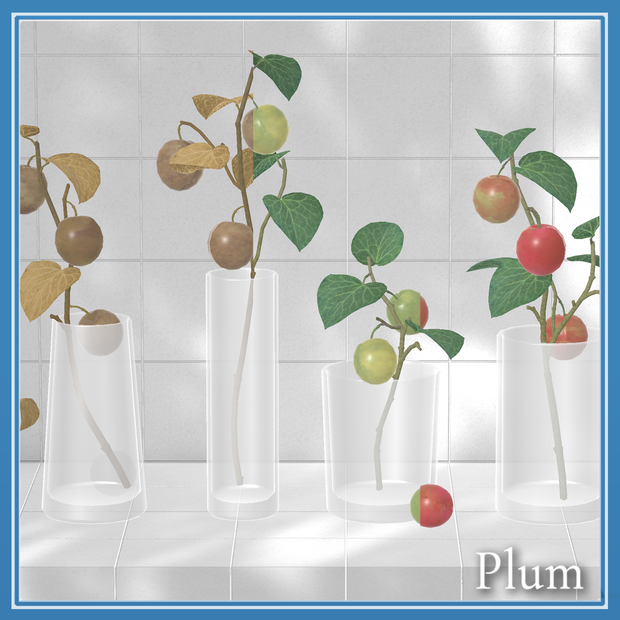 Plum