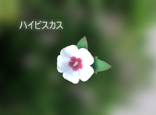 ハイビスカス