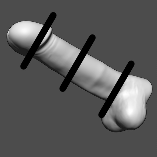 クリップスタジオ用　男性器の3Dオブジェクト素材