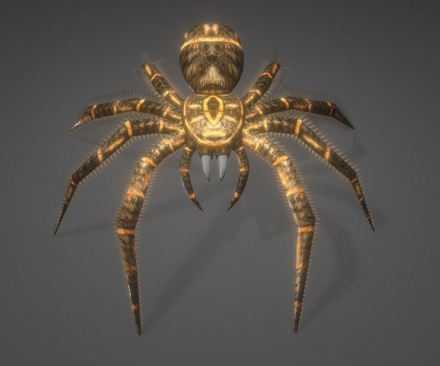 スパイダーアニメーションとゲーム対応の 3D モデル 3D Model VRChat vrc