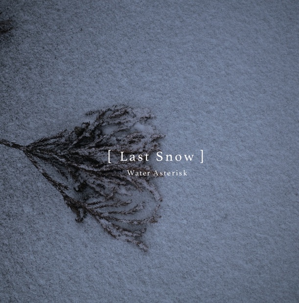 Last Snow LP / 音楽CD / Techno,House,TechHouse, Ambient Water Asterisk