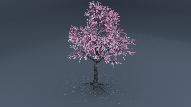 SACRED SAKURA - 霊桜 - Blooming Cherry Blossom Tree Asset