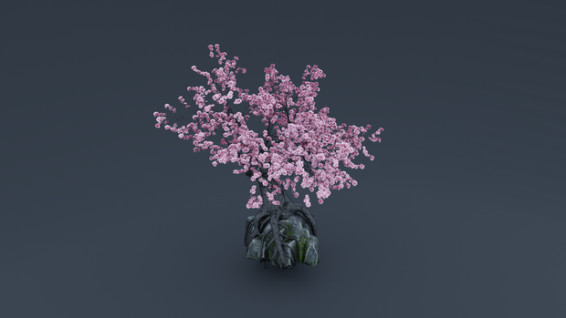 ETERNAL SAKURA - 常春の桜 - Traditional Cherry Blossom Asset