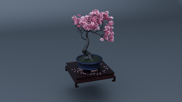 ELEGANT SAKURA BONSAI - 満開の桜盆栽セット - Tabletop Zen Prop