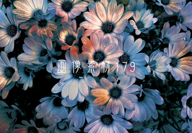 画像素材Vol.179