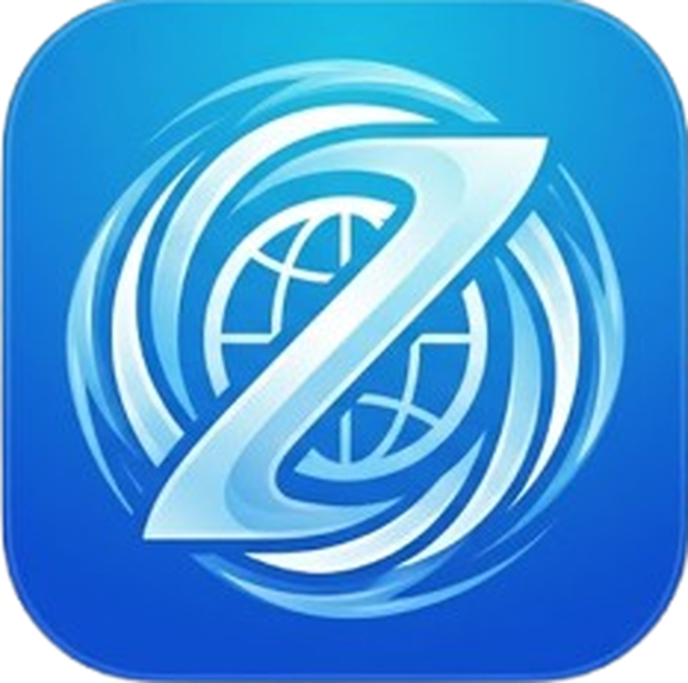 Zerion Browser