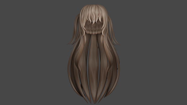 Half Up Half Down with Pigtail