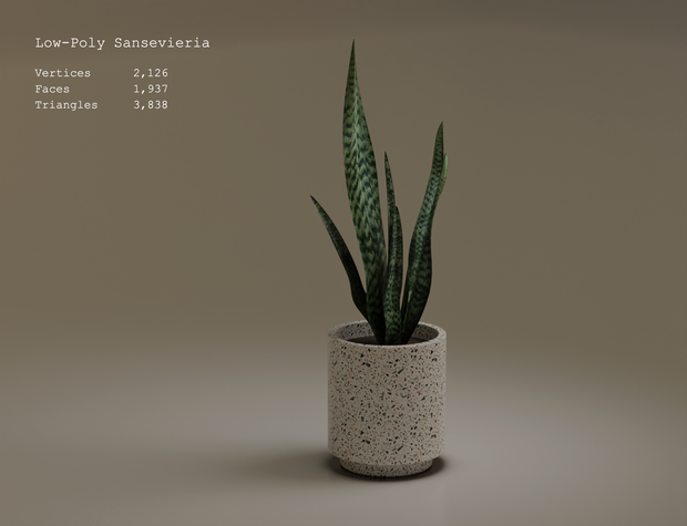 ローポリ_観葉植物：サンセベリア・トリファスキアータ