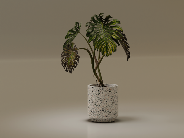 ローポリ_観葉植物：モンステラ2