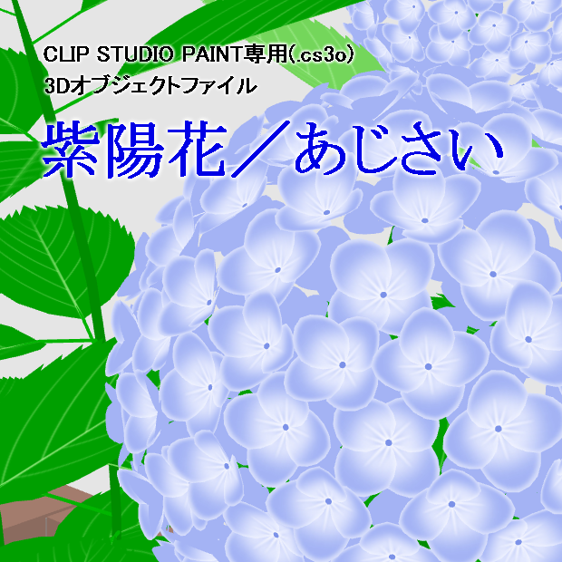 紫陽花／あじさい