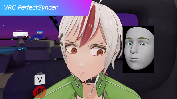 VRC PerfectSyncer