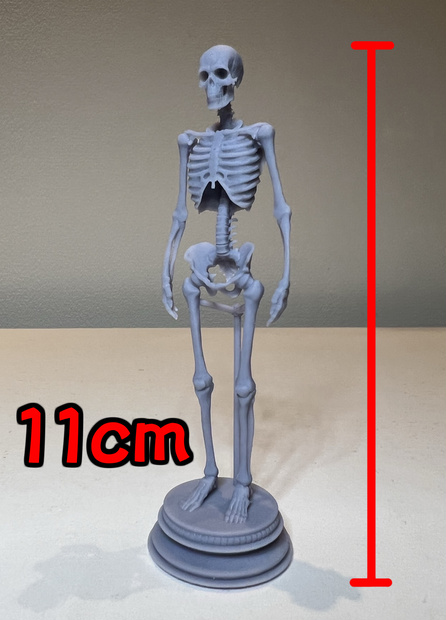 『人間全身骨格11cm』stlデータ