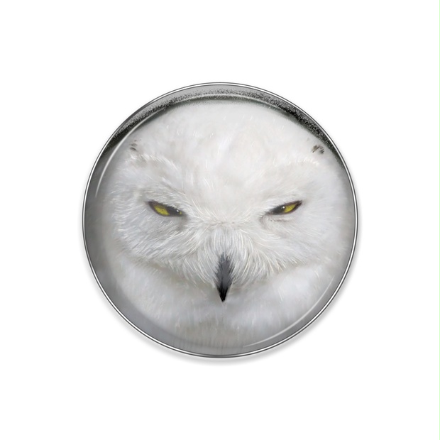 シロフクロウ Tawnyowl Booth