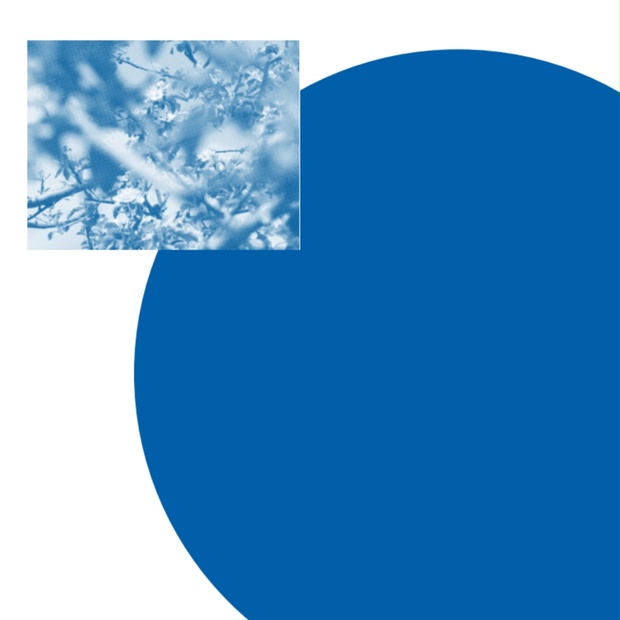 2d2e1973-d169-4fcf-a071-