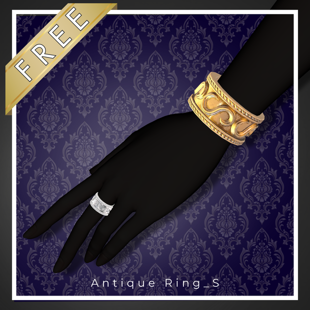 【Free】Antique Ring_S【骨直下配置式】