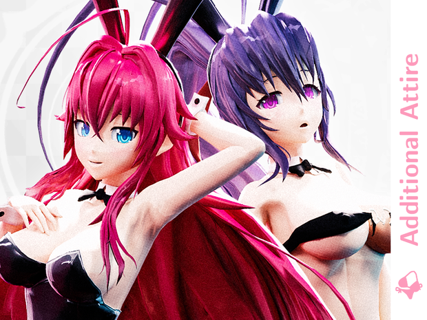 Highschool DxD - Bunny Outfits - Additional Attire