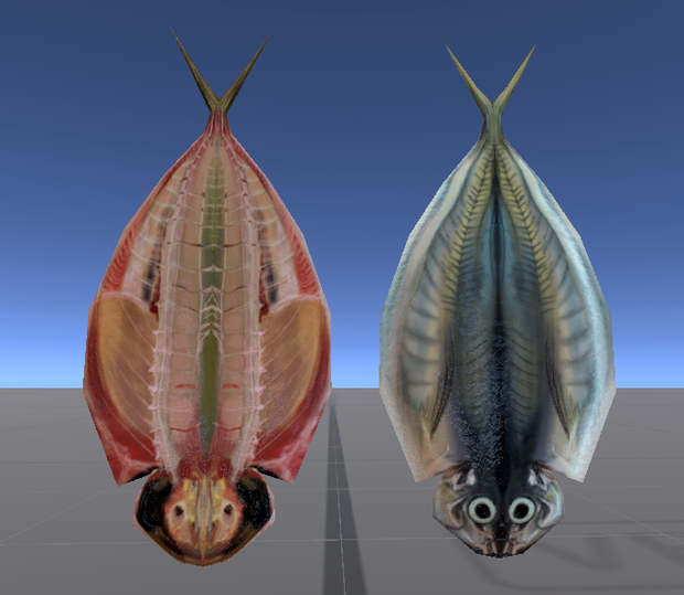まぐろのあたまとアジの開き　マグロ and アジ