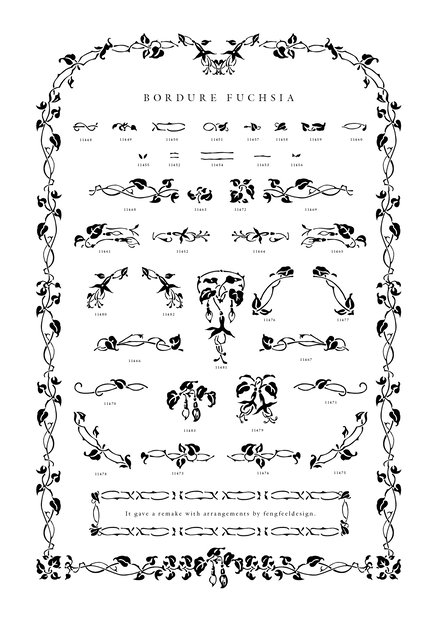 BORDURE FUCHSIA F
