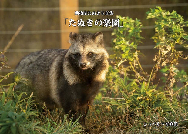たぬきちページ☆2つ 61fsICqYukL._UF350,350_QL80_.jpg