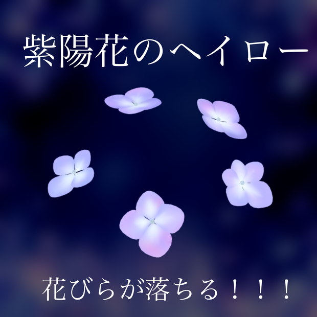 紫陽花のヘイロー【Hydrangea Halo】