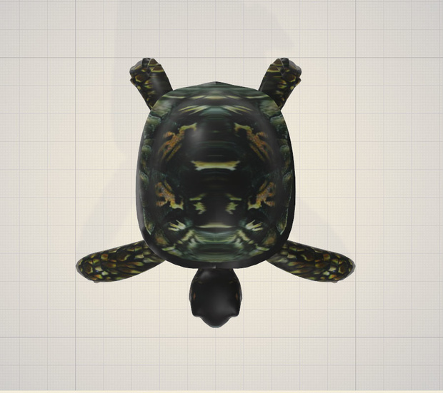3d   亀