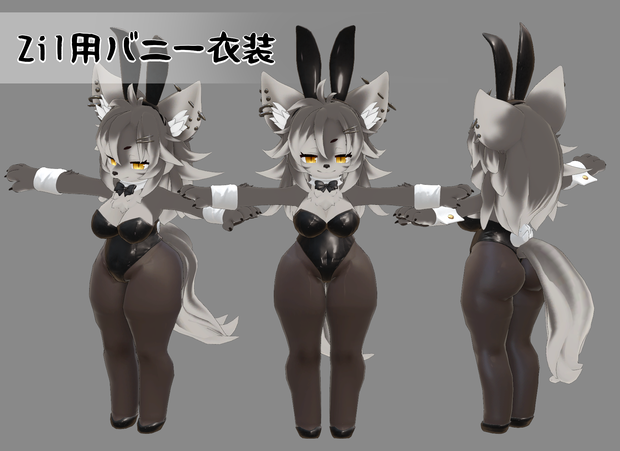 オリジナル3Dモデル【Zil用バニースーツ】