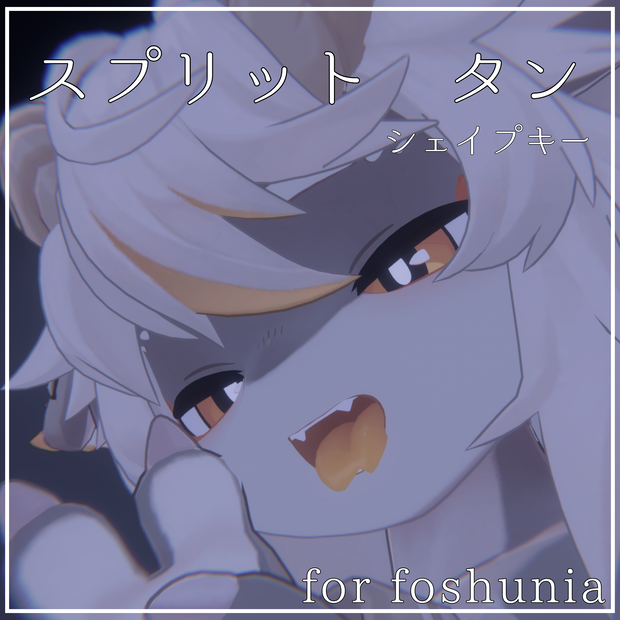 フォシュニア用スプタンシェイプキー