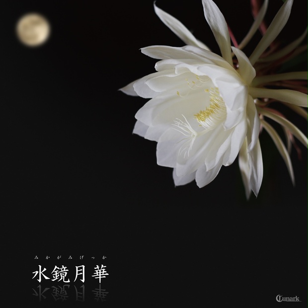 お月☆おまとめ 中秋の名月 | Phantom Gourmet 時々 Bike ZX-10RtypeJK