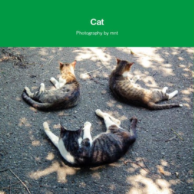 猫写真集 【Cat / Photography by mnt】 ねこぼん 3巻 - mnt - BOOTH