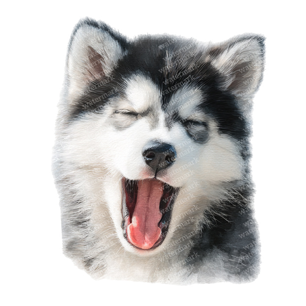 【商用利用可】ベビーハスキーの水彩クリップアート19点セット｜高解像度・透過PNG｜子犬素材・ペーパークラフト・ジャンクジャーナル素材
