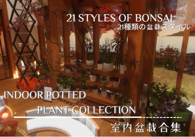 Indoor Potted Plant Collection--室内盆栽合集