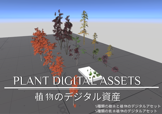 Plant digital assets_植物のデジタル資産