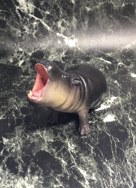 コビトカバリング        