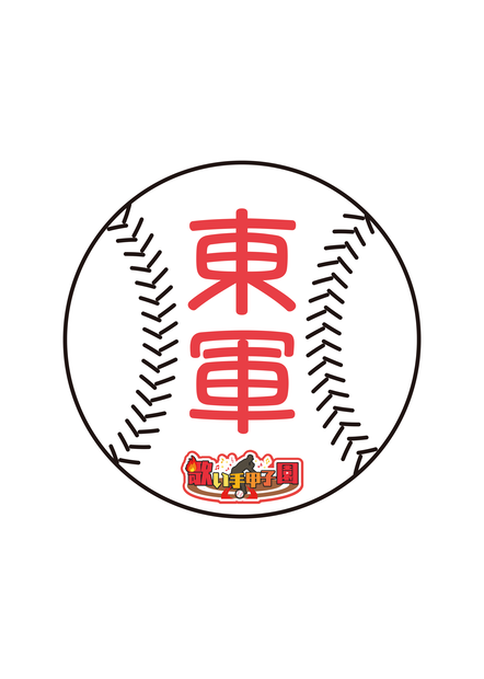 野球ボール【協力金寄付300円】
