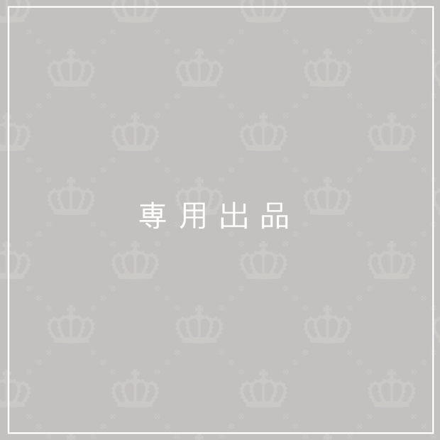 専用出品