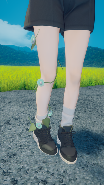 [Marycia向け]あさがお