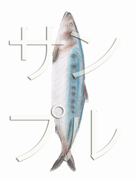 魚セット