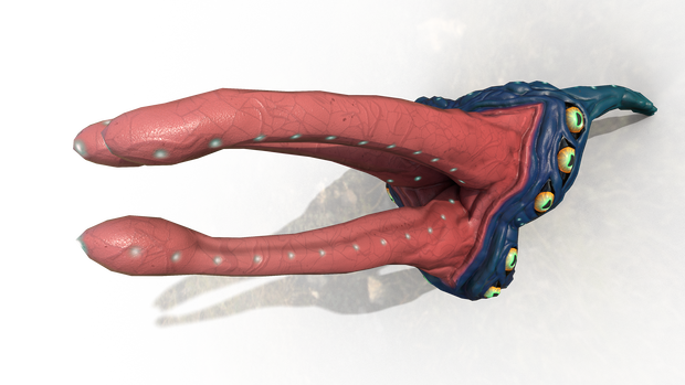 Monster Genetalia : Tentation (SPS/VRCFury)