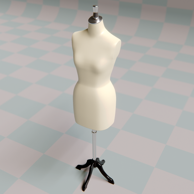 Torso